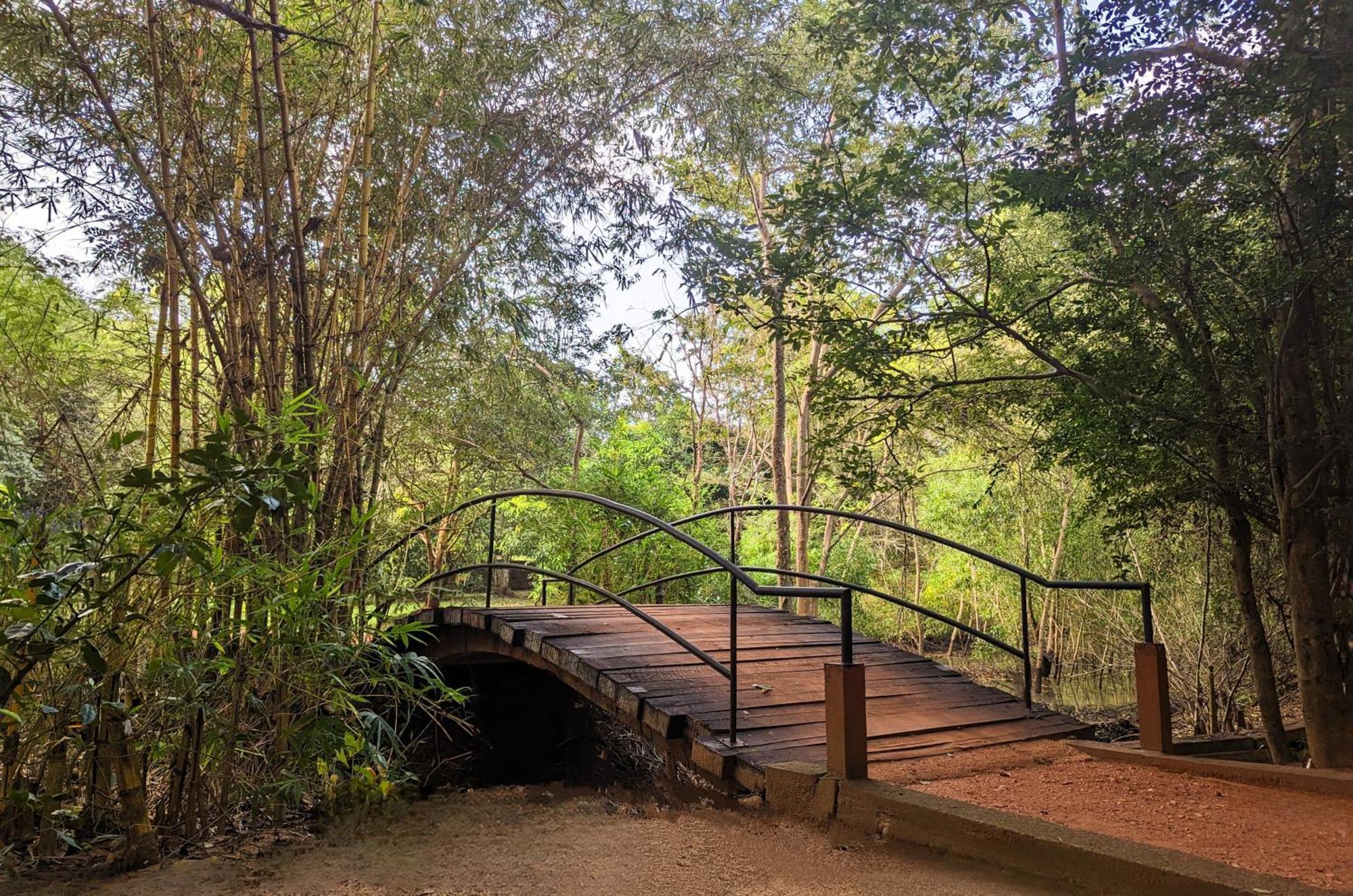 Pinthaliya Resort Sigiriya Bagian luar foto