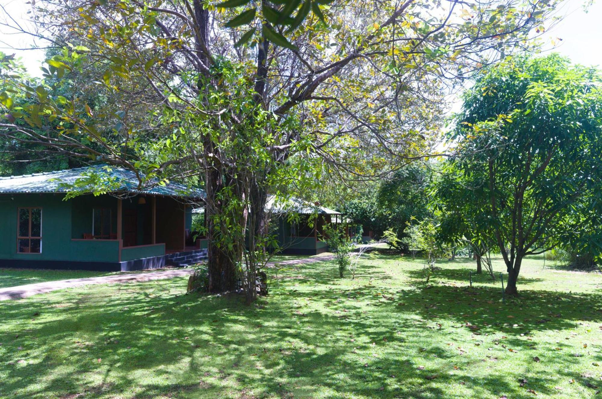 Pinthaliya Resort Sigiriya Bagian luar foto