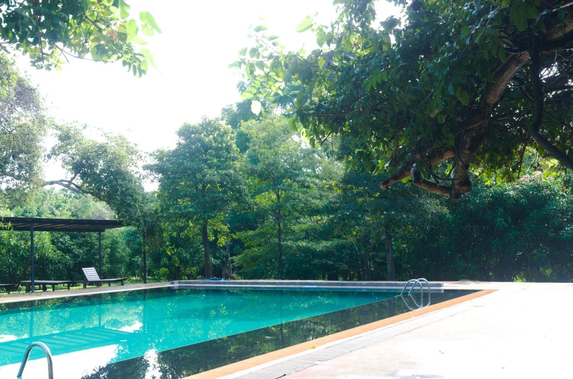 Pinthaliya Resort Sigiriya Bagian luar foto
